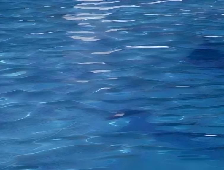 如何判断浓水节流过度？