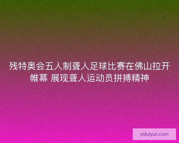 残特奥会五人制聋人足球比赛在佛山拉开帷幕 展现聋人运动员拼搏精神